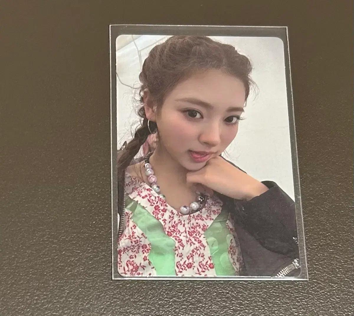 미야오 안나 포카 양도