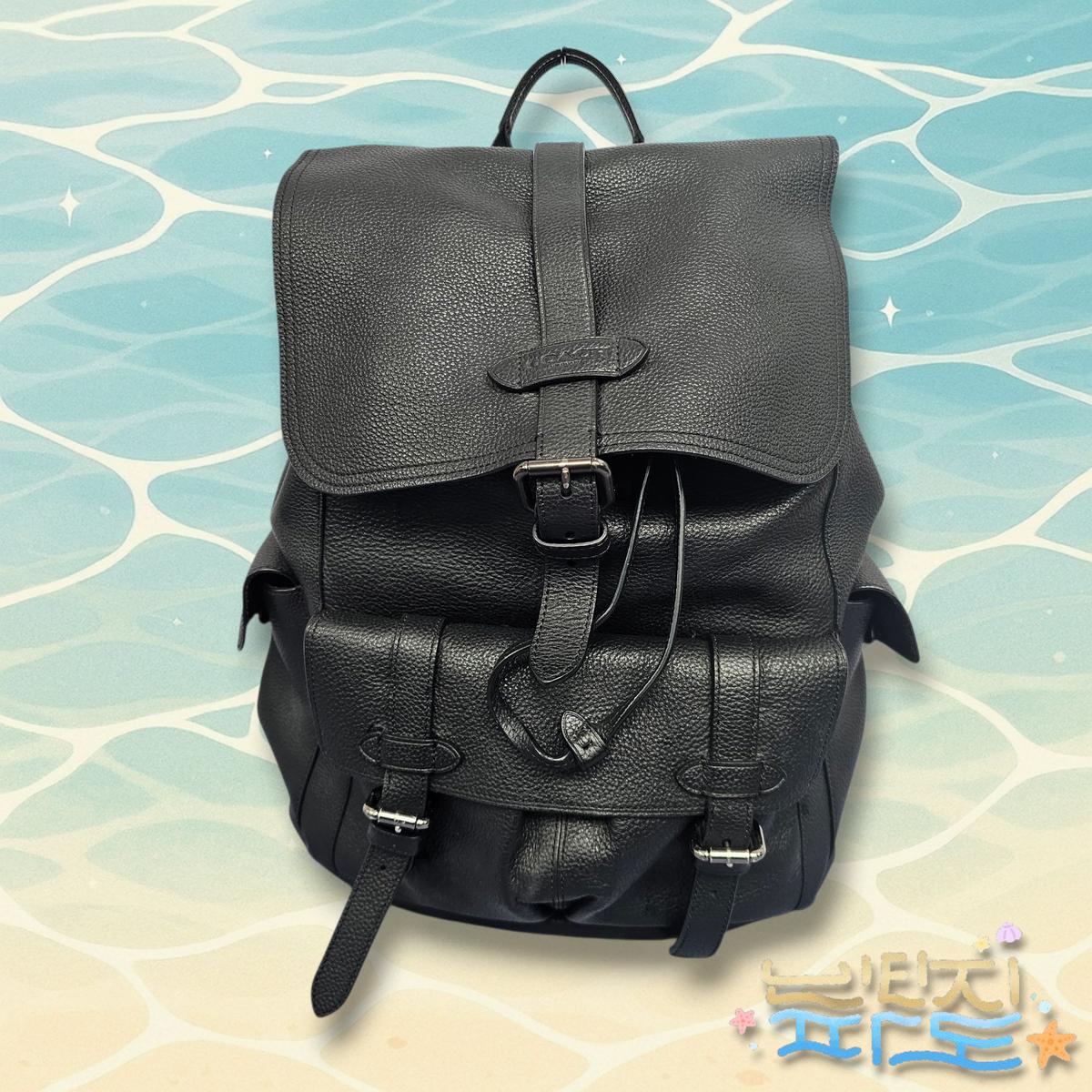 Coach 코치 남성 스프린트 가죽백팩