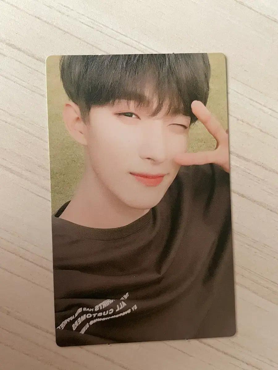 세븐틴 도겸 포카 양도 어쩌나 ymmd