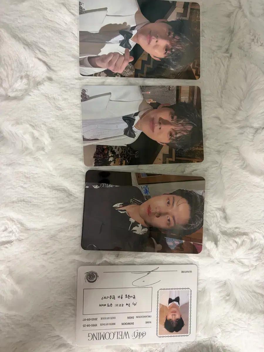 데이식스 포카 판매 나눔