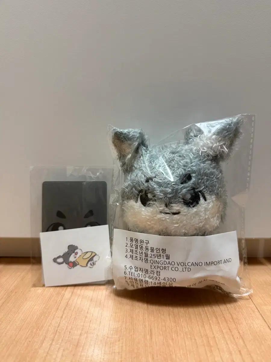 데이식스 원필 인형 필댕이