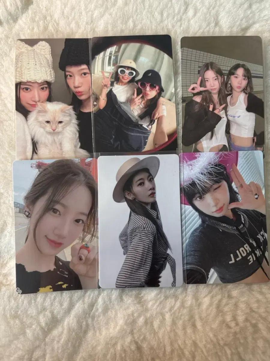 르세라핌 포카