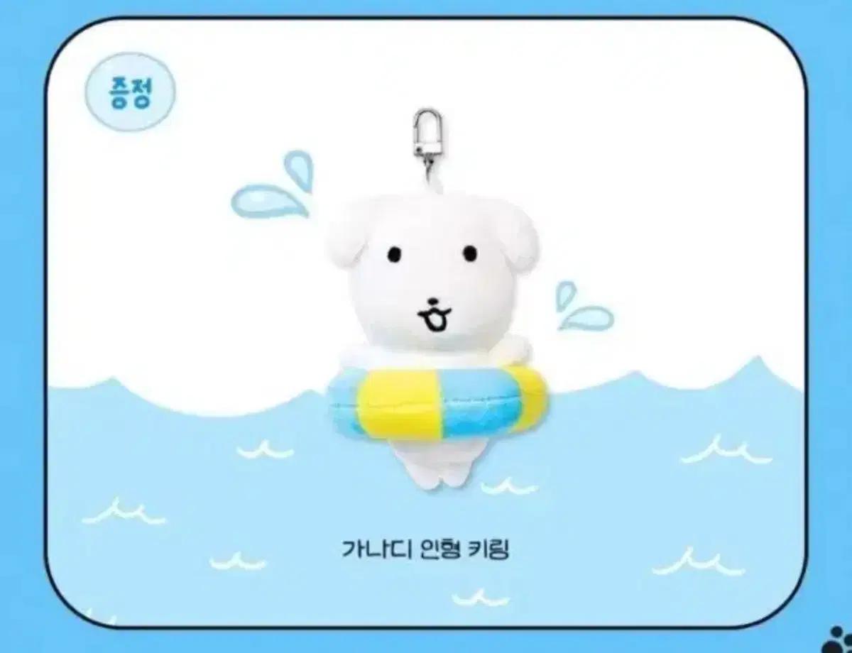 토리든 가나디 인형 키링 미개봉
