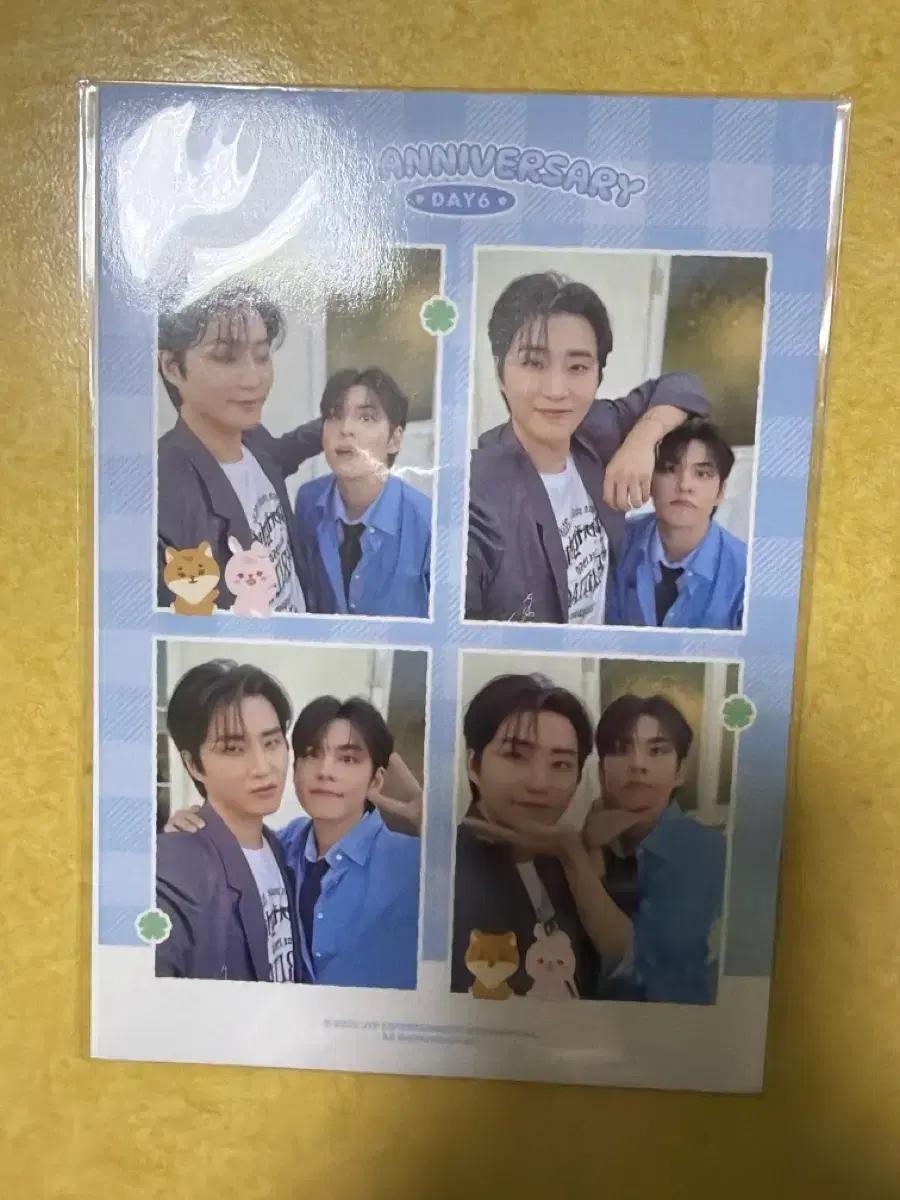 데이식스 폴딩매트 포카 판매 유닛포카 성진도운 영케이원필
