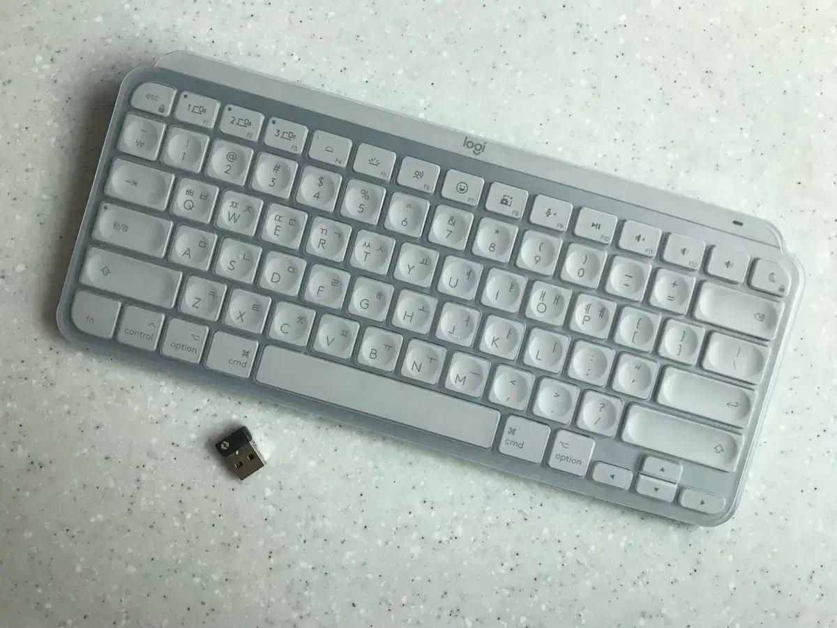 로지텍 mx keys mini for mac 페일그레이 팬터그래프