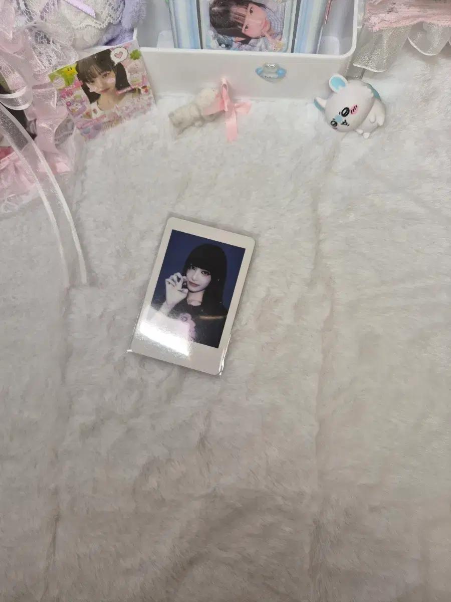 아이브 시크릿 위드뮤 럭드 폴라