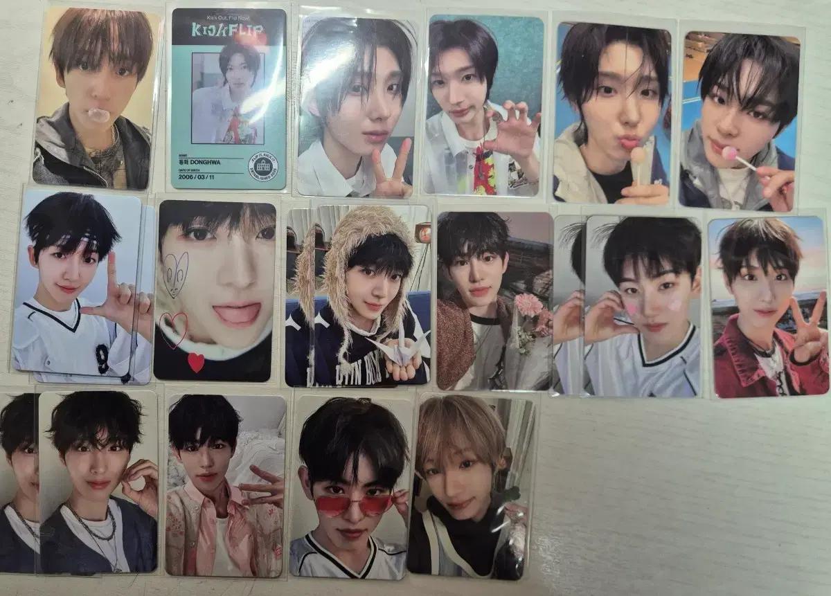 킥플립 포카 교환 양도 3집 처불노 2집 앨범 분철