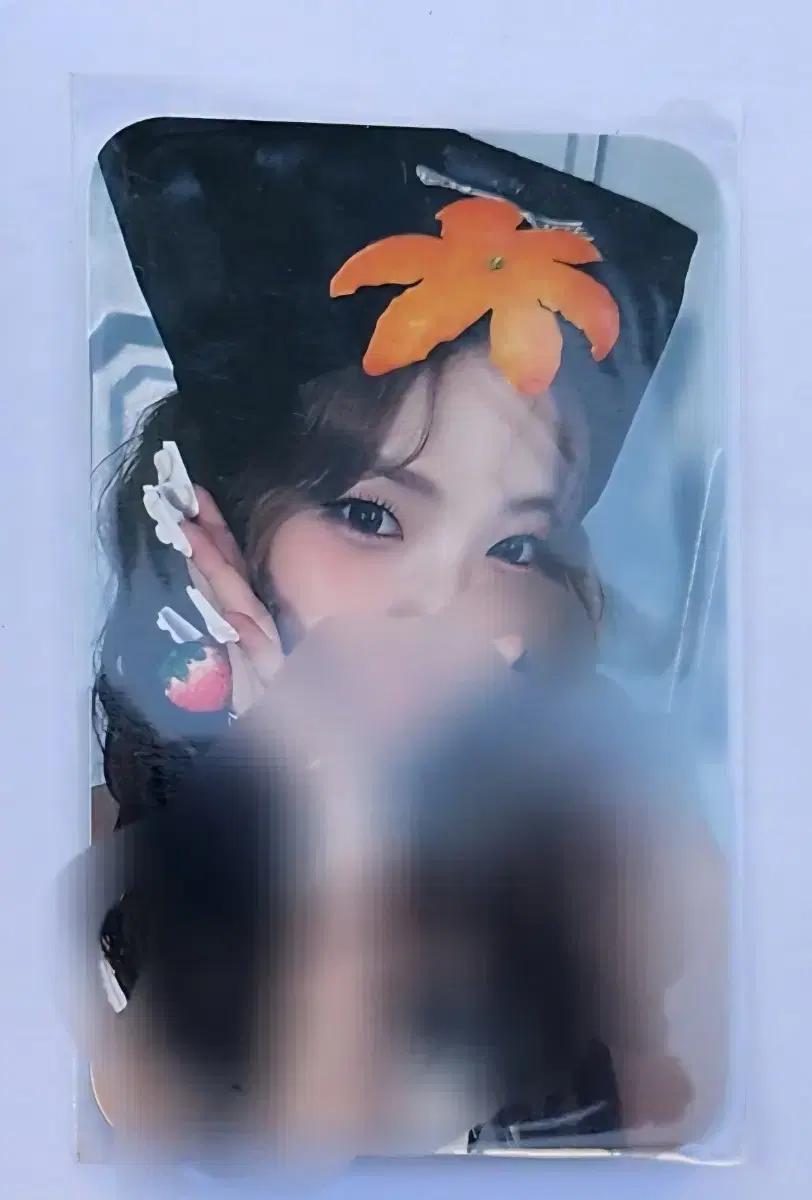 유니스 UNIS 공방 싸인포카 팝니다
