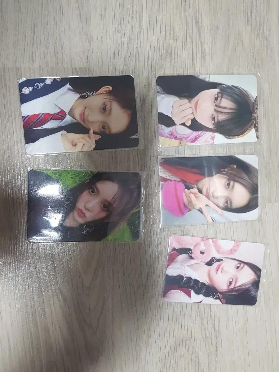 아이브 포카