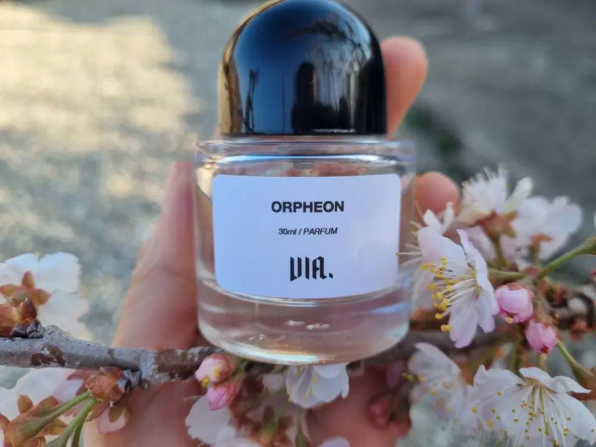 비아퍼퓸 딥티크 오르페옹 30ml