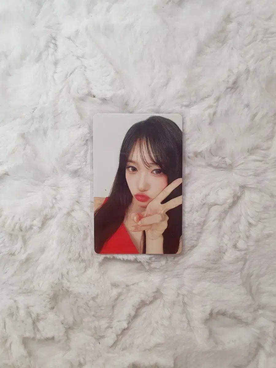 아이브 파파존스 이서
