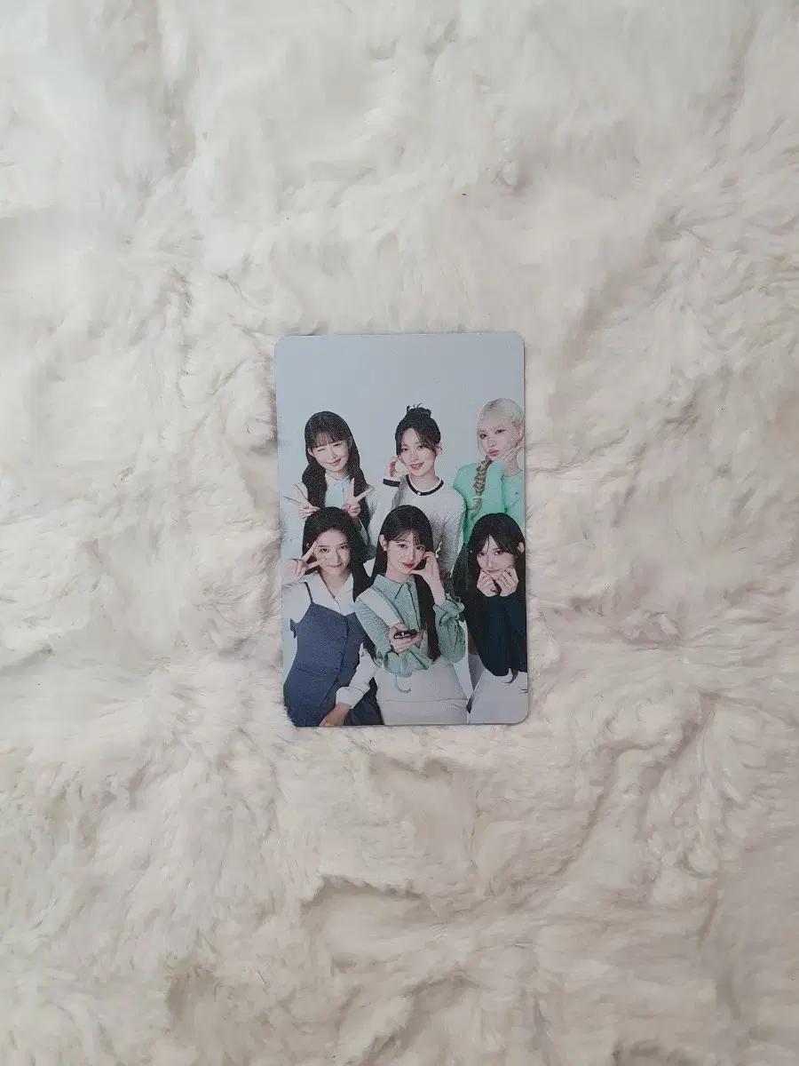 아이브 파파존스 단체 포카