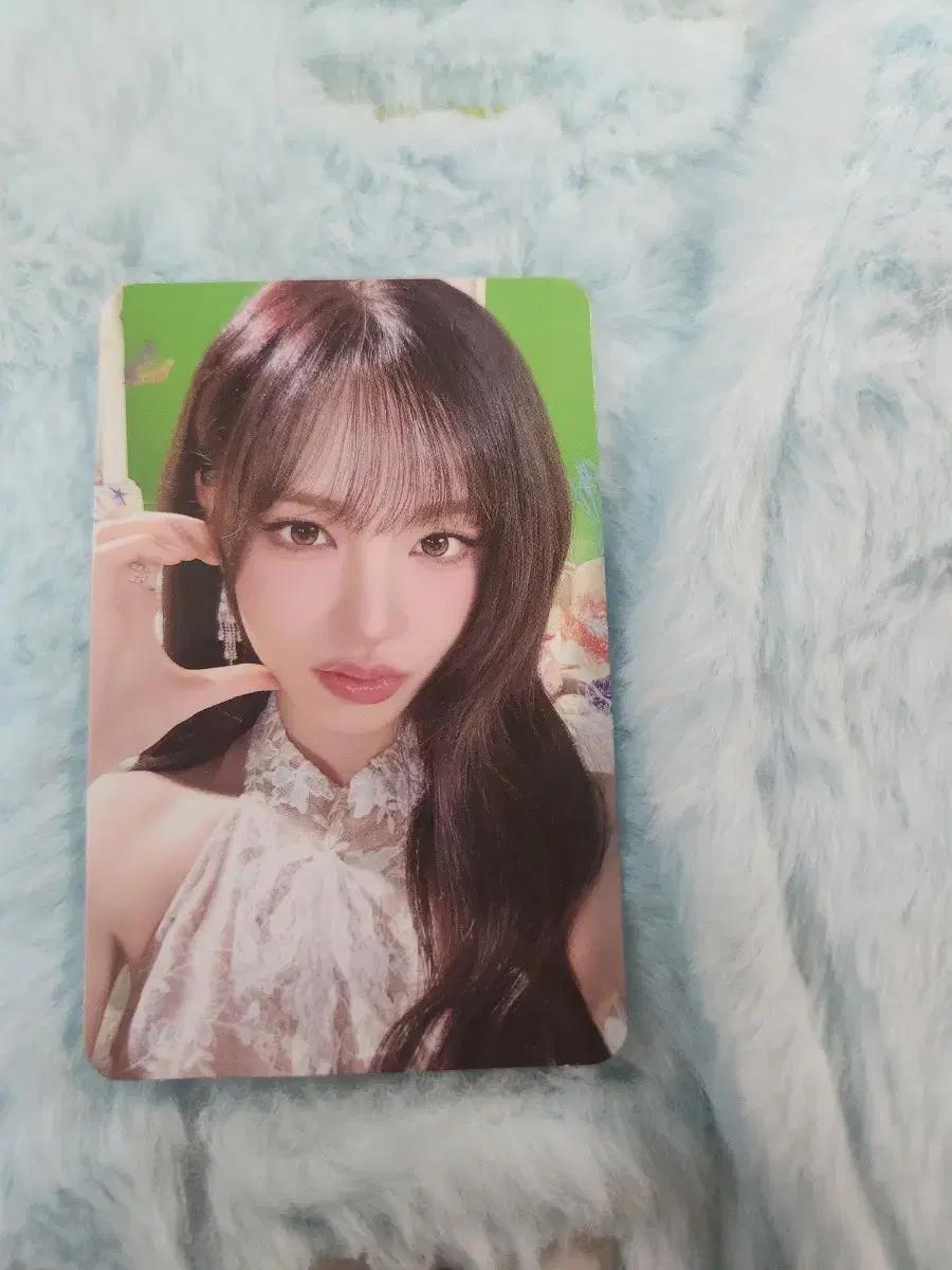 아이브 팬콘 MD 트레카 리즈 셀포 양도 판매