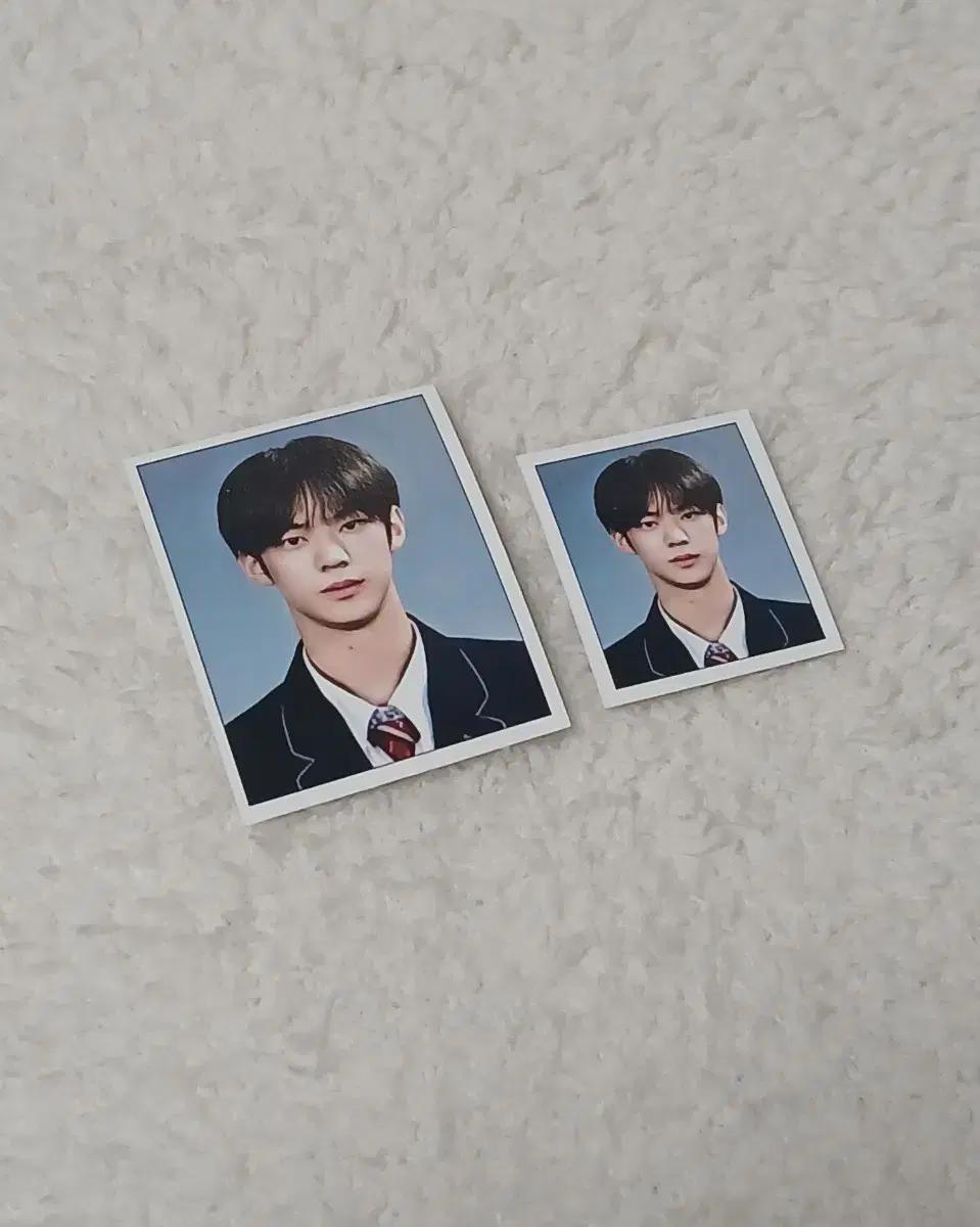 투어스 도훈 증사 팔아요