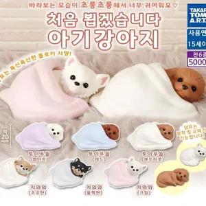 처음뵙겠습니다 아기 강아지 가챠 (토이푸들 화이트)