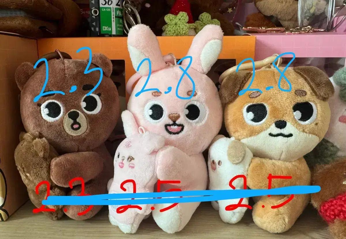 데이식스 데니멀즈 마그넷 판매합니다