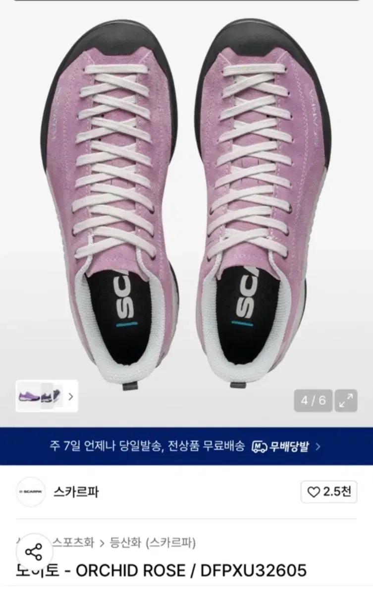 (새상품) 스카르파 모히또 235사이즈