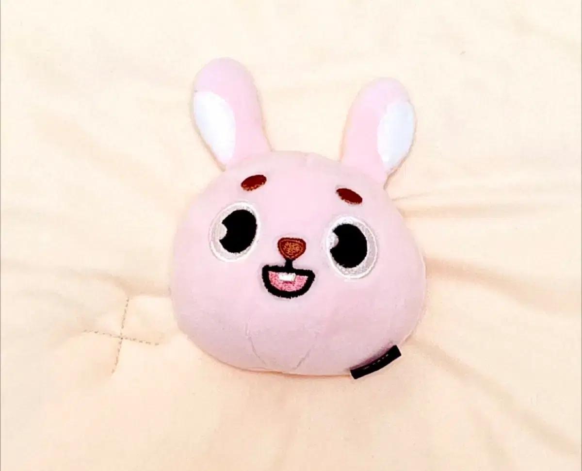 데이식스 데니멀즈 필끼 스트레스볼