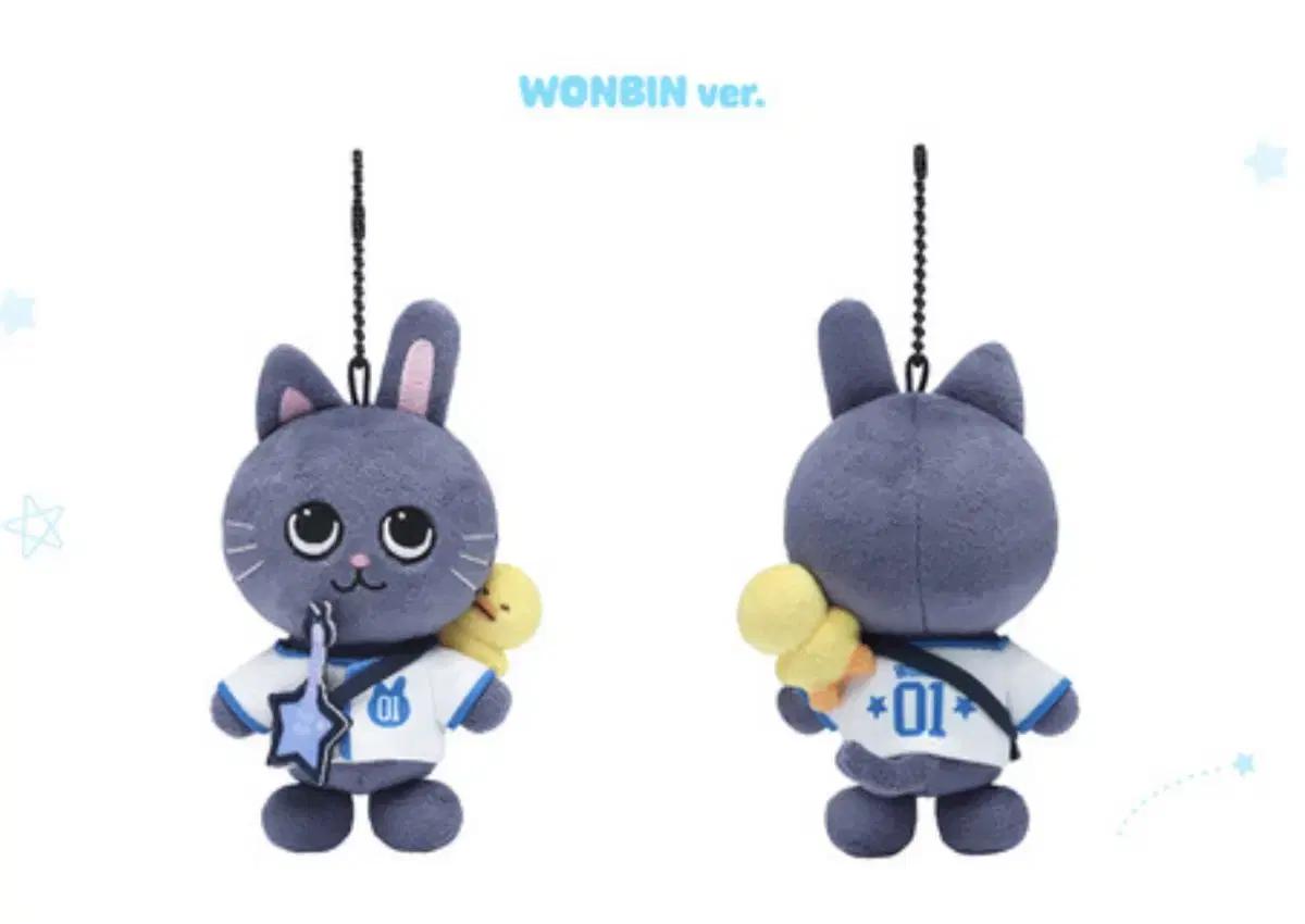 2025 WE LITTLE RIIZE KEYRING WONBIN 토냥덕