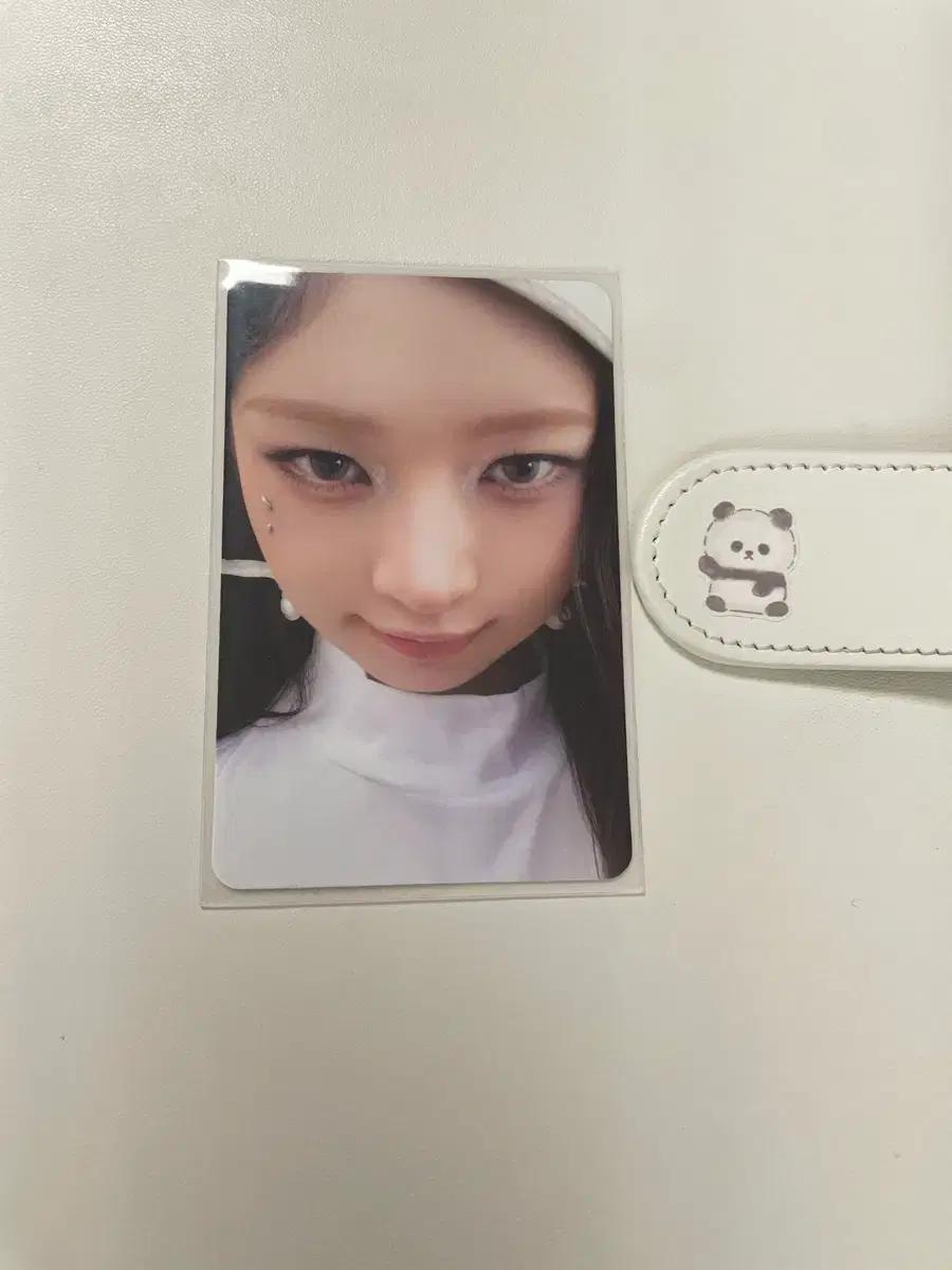 (최저가) 아이브 레이 시크릿 포카