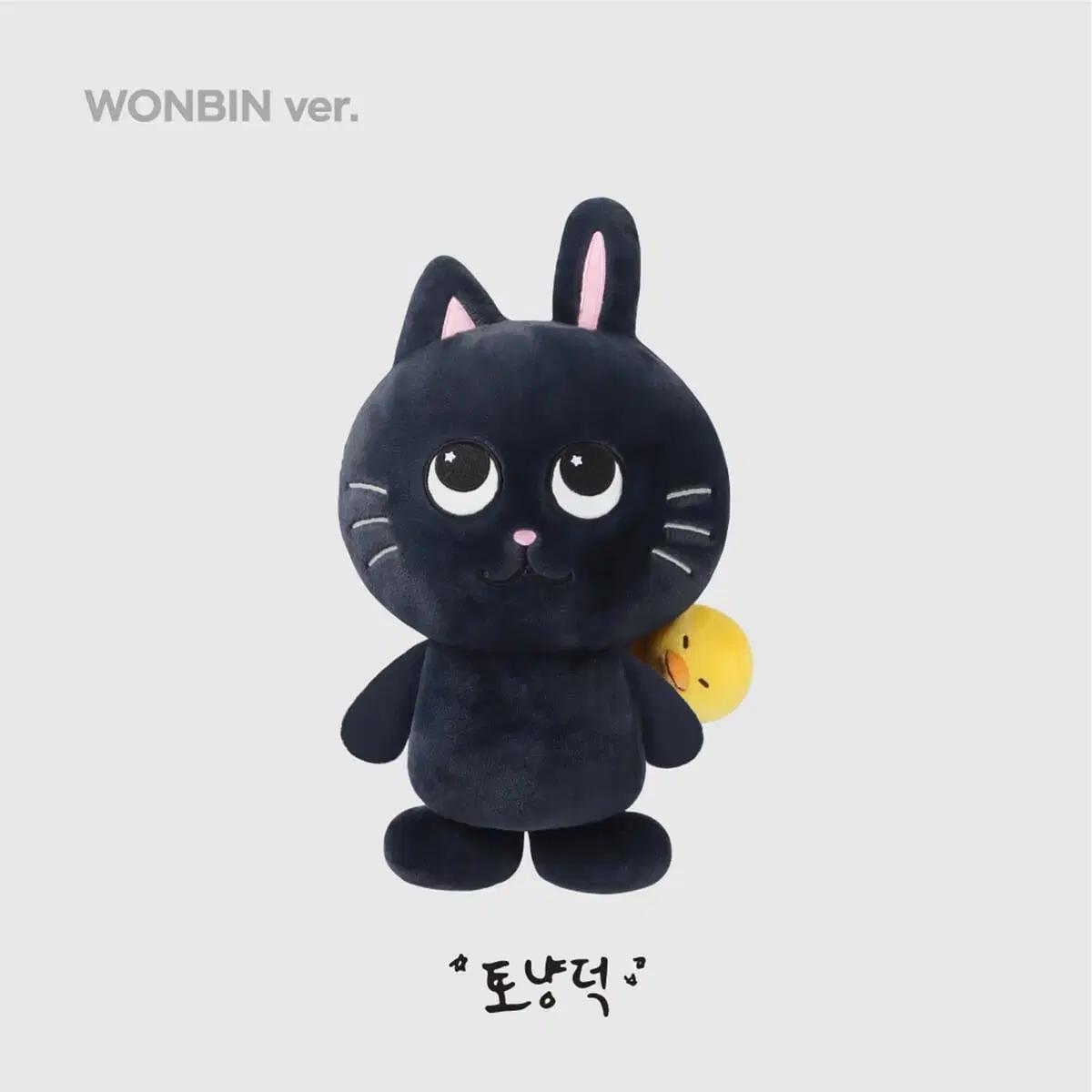 토냥덕 40cm 원빈 양도 라이즈