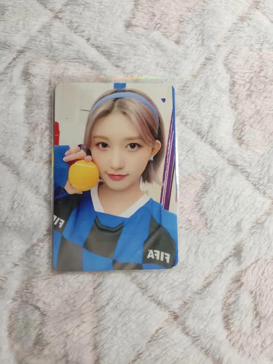 아이브 가을 시그포카