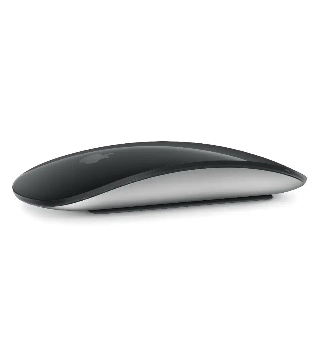 Apple 2024 Magic Mouse 매직마우스