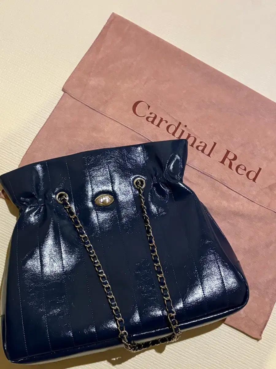 Cardinal Red 라피백 네이비
