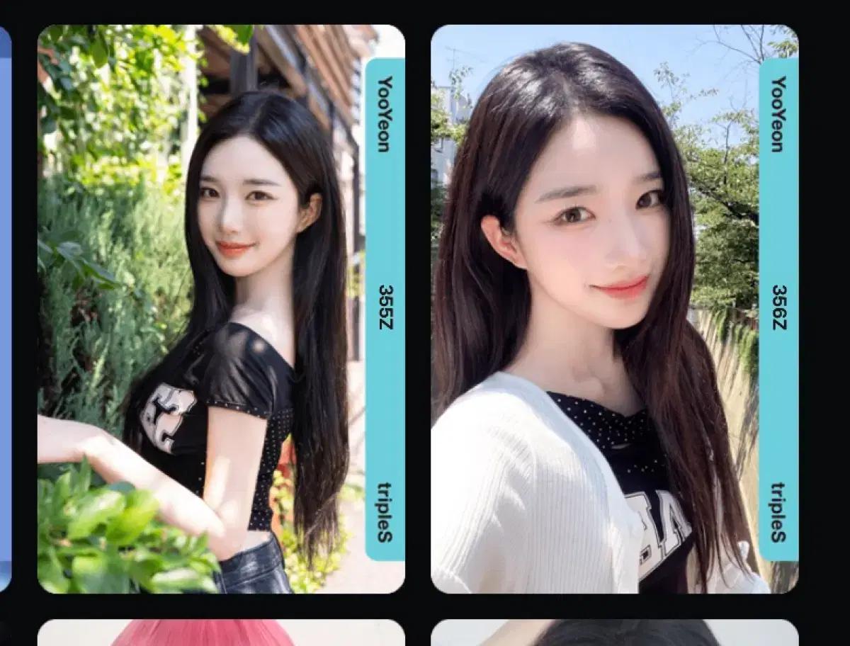 트리플에스 유연 하찌 오브젝트