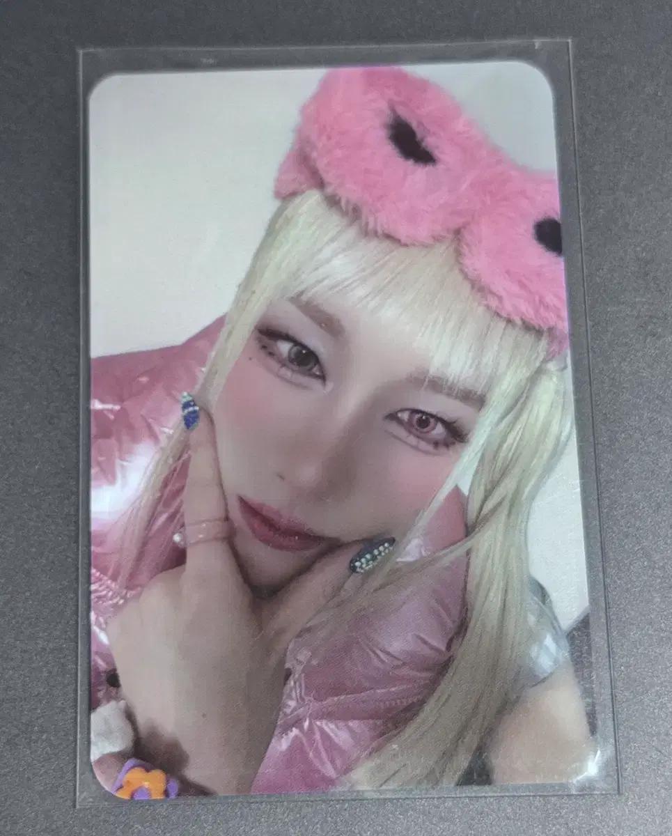 엑스러브 (XLOV) 루이 삡 미공포 포카
