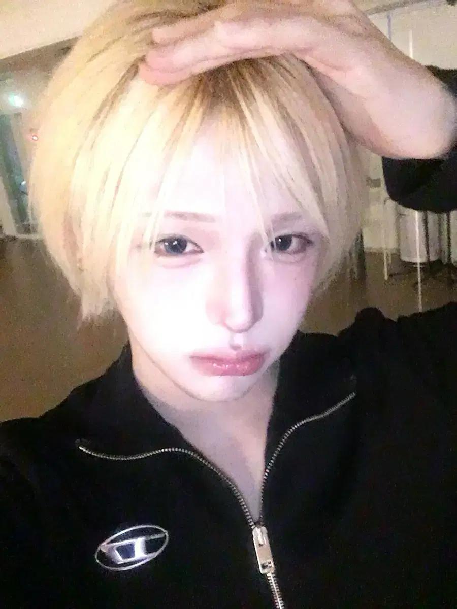 아이덴티티 이청명 관련된거는 다 사요