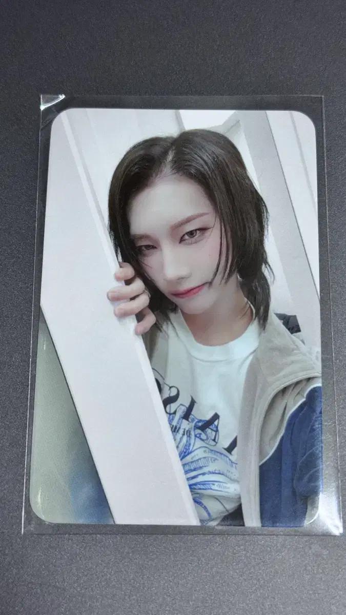 엑스러브 (XLOV) 루이 빼꼼 미공포 포카