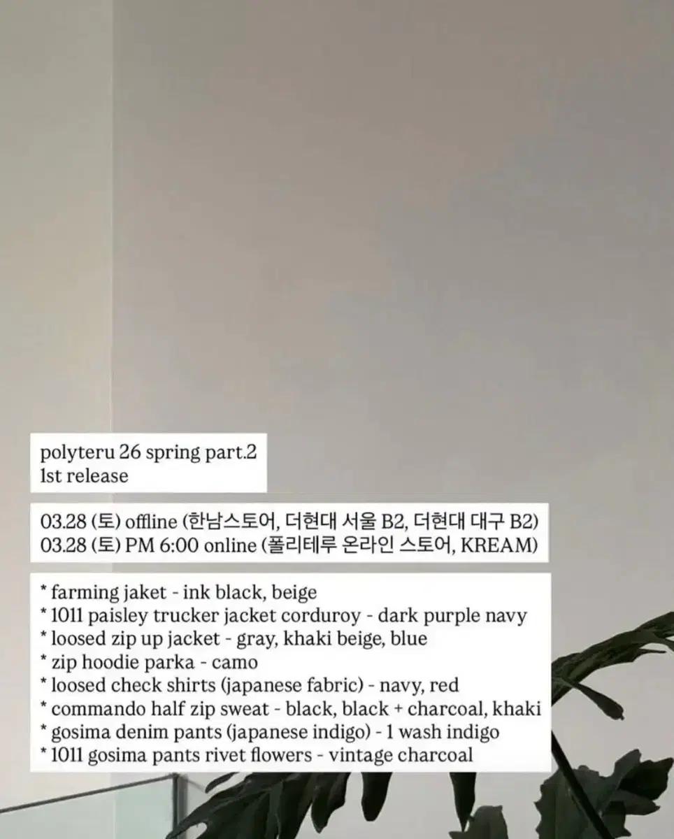 3.28 토 폴리테루 대리구매