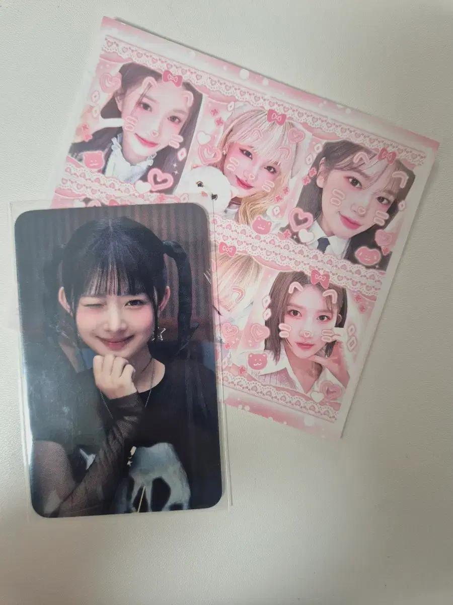 아이브 레이 펩시 포카