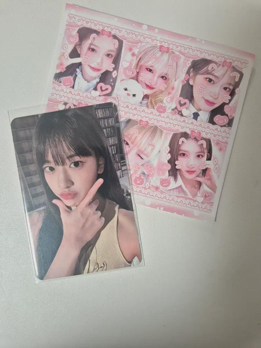 아이브 유진 옥수수수염차 포카