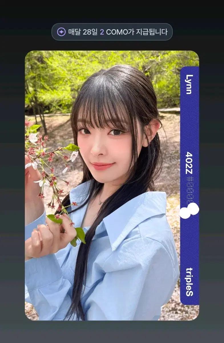 트리플에스 프리미어오브젝트 린 aa402 프옵 pco
