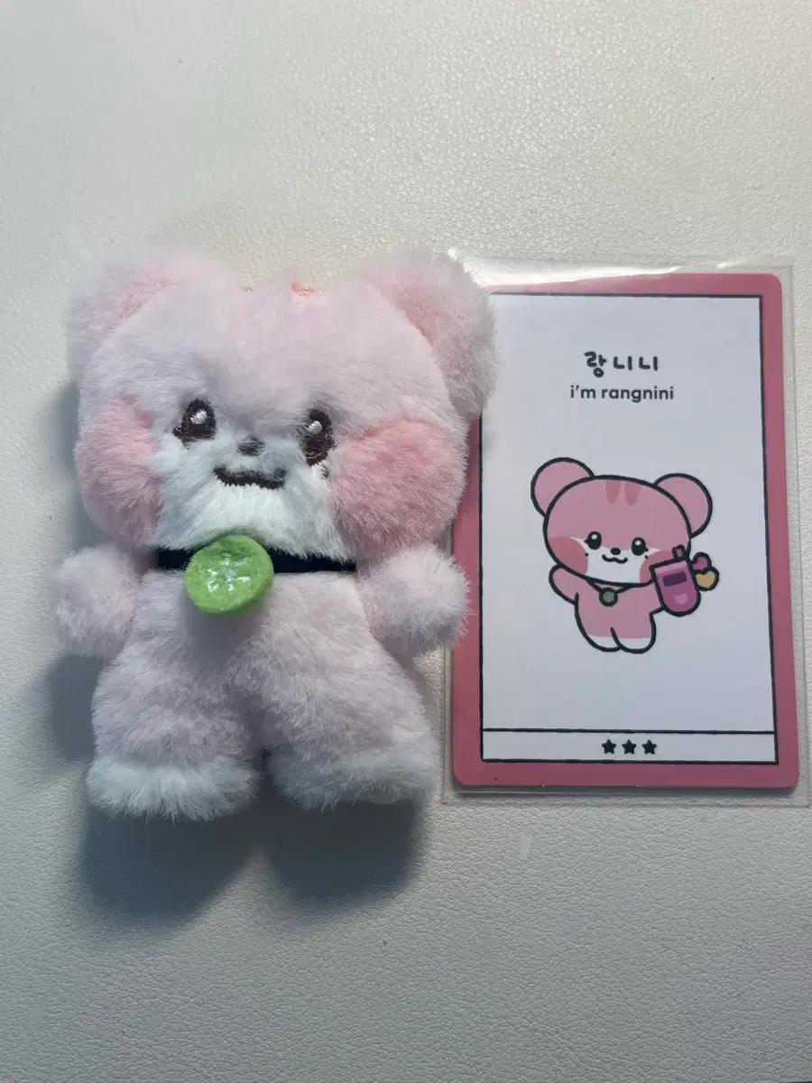 아이브 랑니니 인형 판매