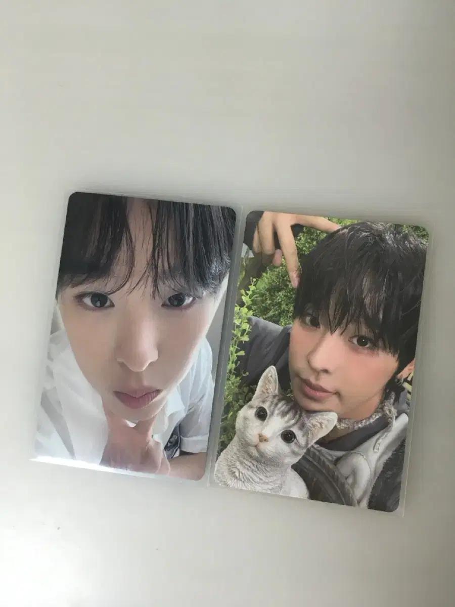 NCTWISH 엔시티위시 탈덕처분
