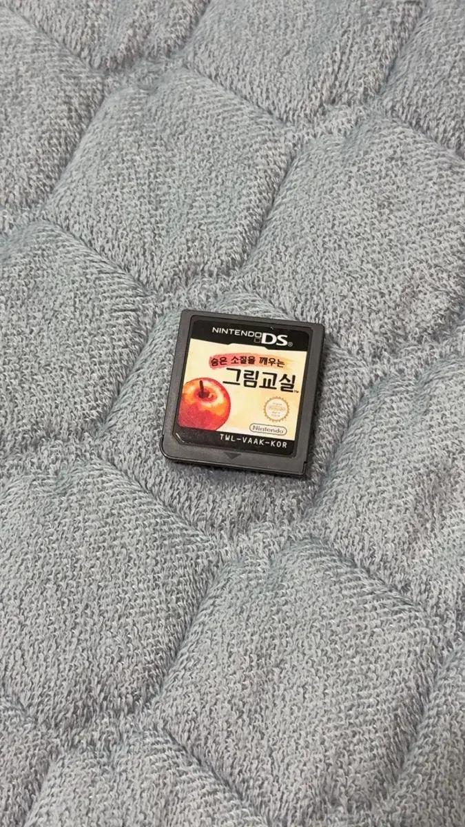 닌텐도 ds 그림교실 한국 정발판