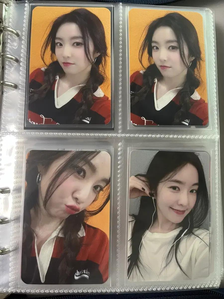 아이린 포카 일괄