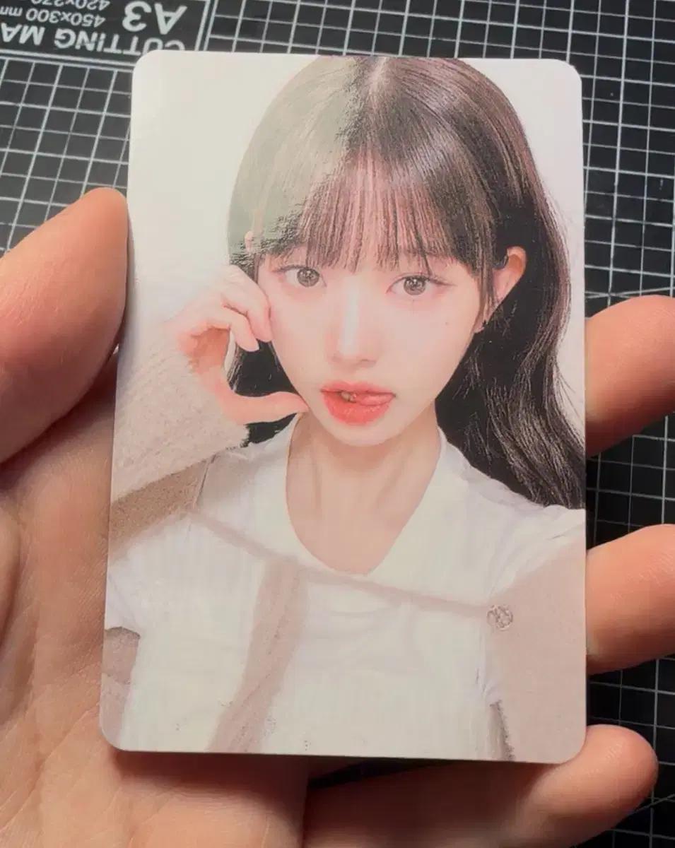 아이브 마인 장원영 일본 후쿠오카 포카 양도