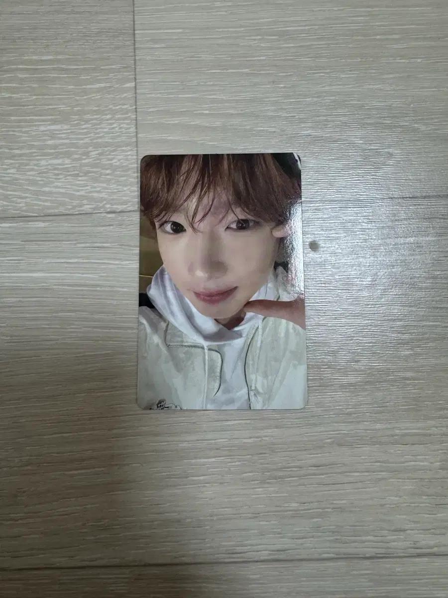엔시티 위시 사쿠야 컬러 COLOR 팝업 엠디 포토카드 포카