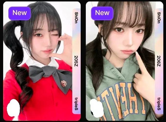 트리플에스 박시온 bb205 bb206 오브젝트