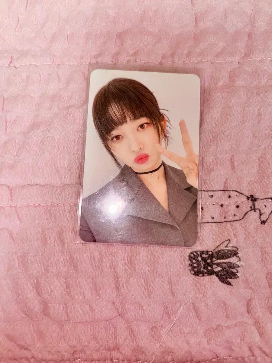 아이브 레이 일레븐 앨포 양도