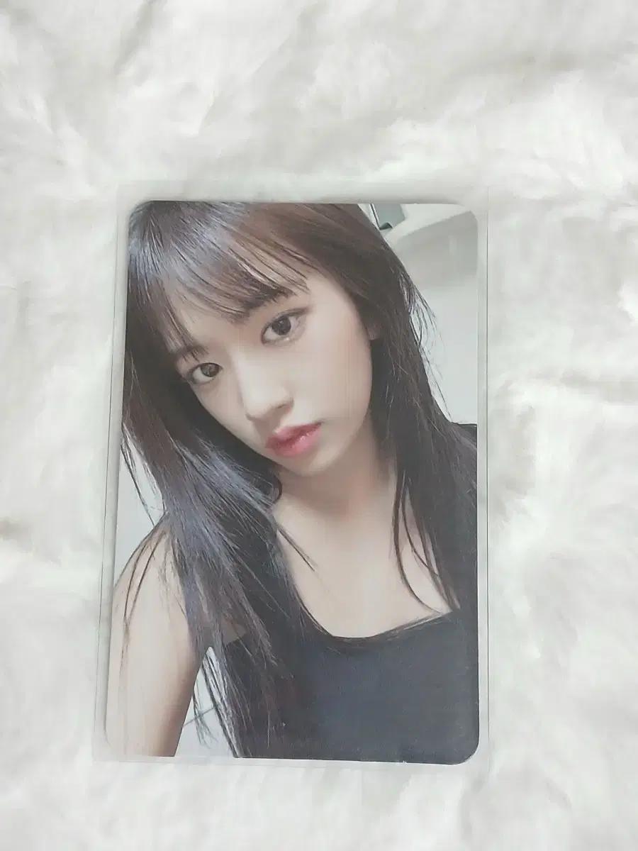 아이브 포카