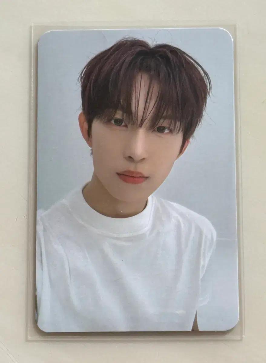 알파드라이브원 알디원 건우 사웨 미공포 포카