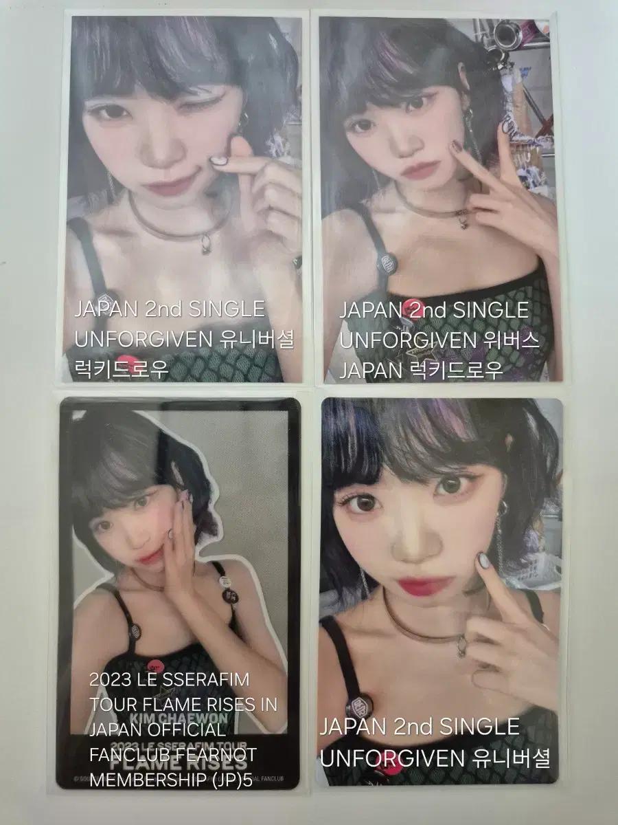르세라핌 채원
