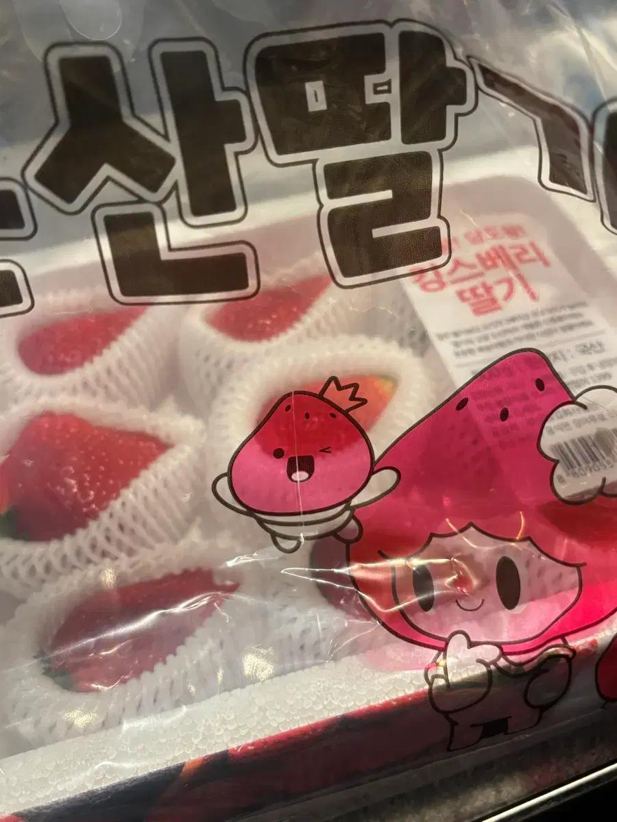 오픈와이와이 케이스 16 구해요
