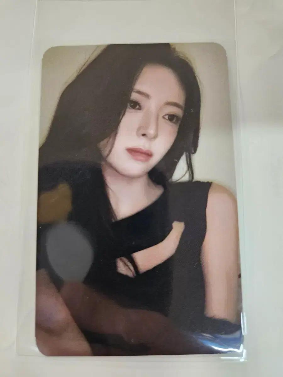 있지 유나 공방 포카 양도