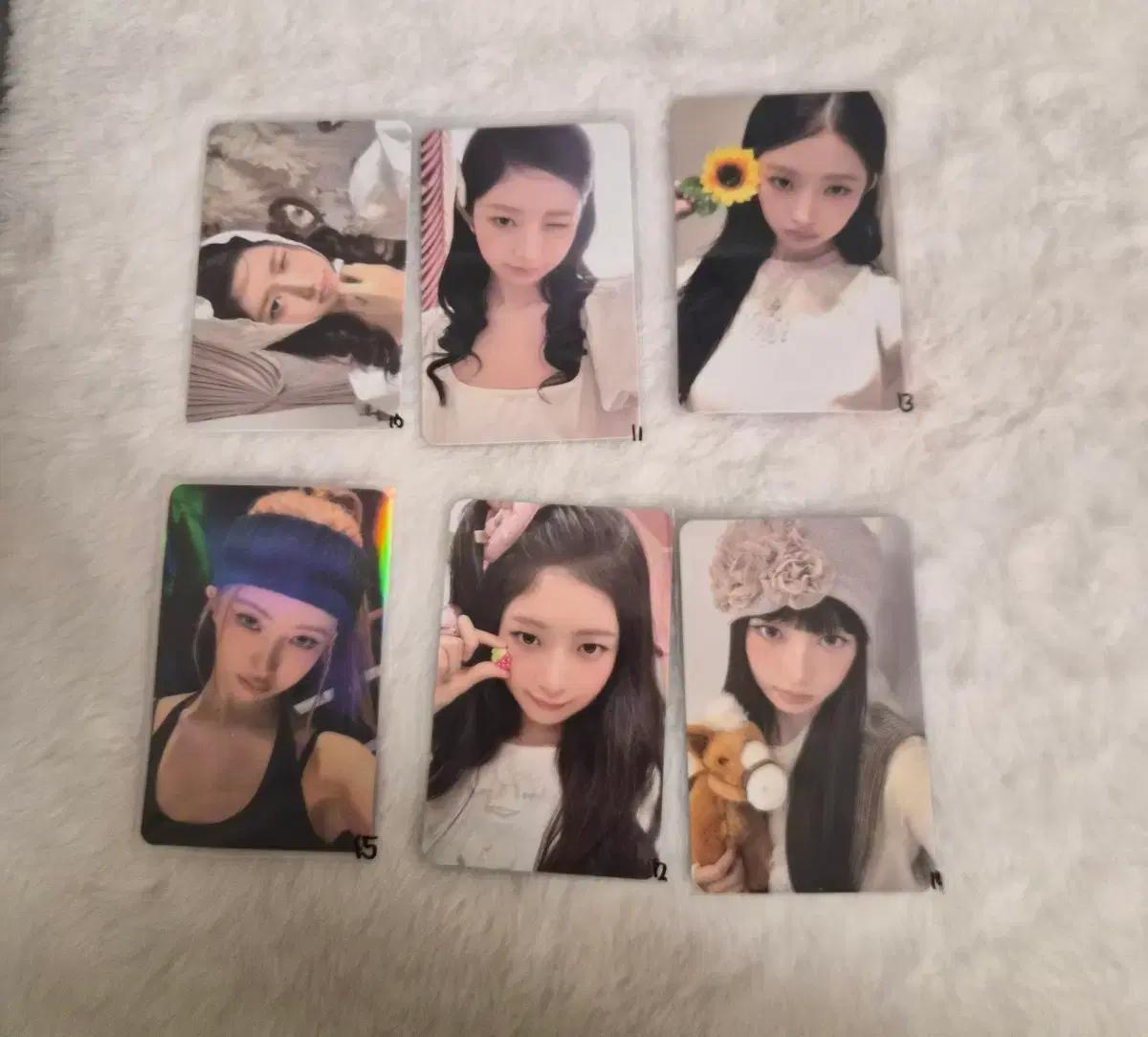 아이브 포카 레이